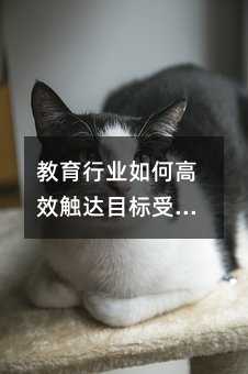 ҵθЧĿڣӦóԽ