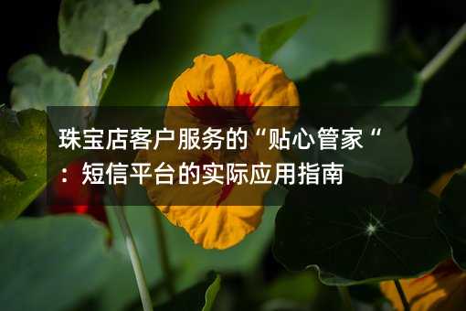 鱦ͻġĹܼҡƽ̨ʵӦָ