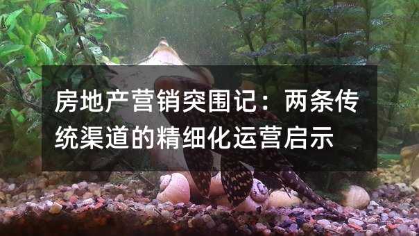 زӪͻΧǣͳľϸӪʾ