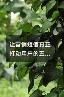 Ӫû岽ķ