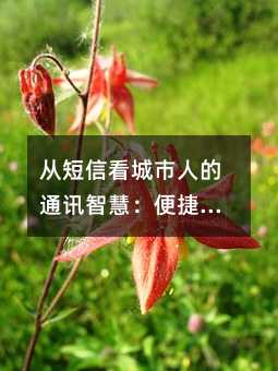 Ӷſ˵ͨѶǻۣĴǨ