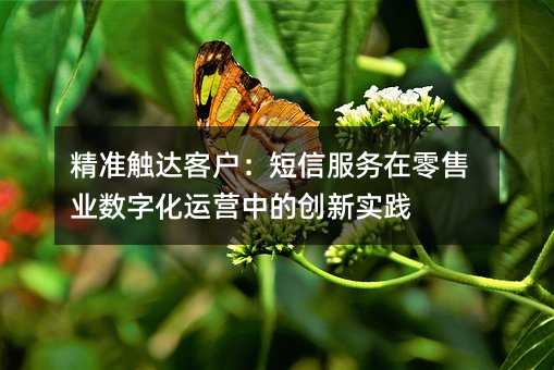 精准触达客户:短信服务在零售业数字化运营中的创新实践