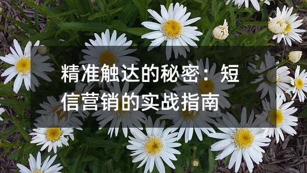 ׼ܣӪʵսָ