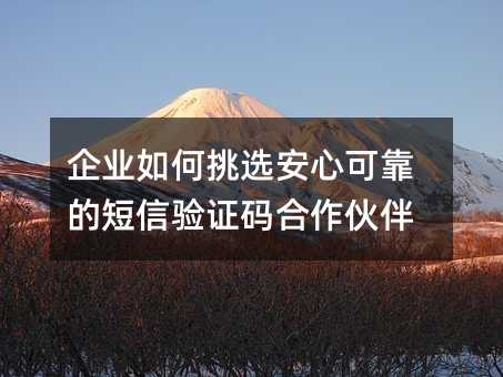 ҵѡĿɿĶ֤