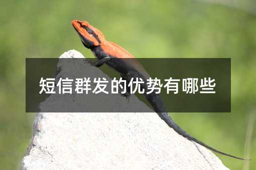 ȺЩ