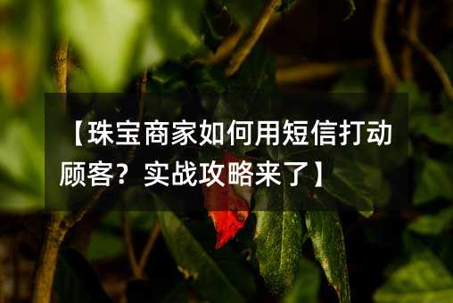 鱦̼öŴ򶯹˿ͣʵսˡ