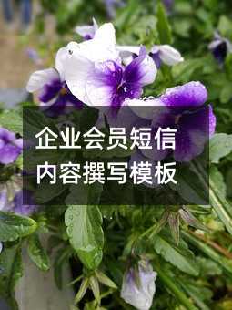 ҵԱ׫дģ