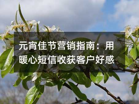 元宵佳节营销指南:用暖心短信收获客户好感