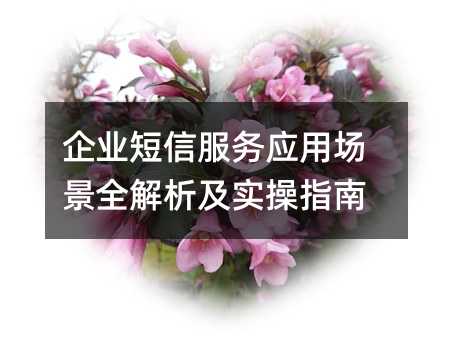 ҵŷӦóȫʵָ