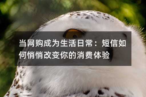 当网购成为生活日常:短信如何悄悄改变你的消费体验