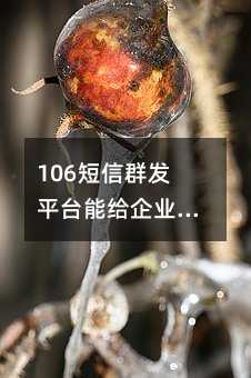 106Ⱥƽ̨ܸҵṩЩ