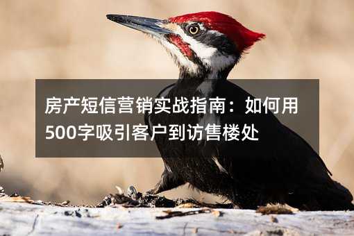 Ӫʵսָϣ500ͻ¥