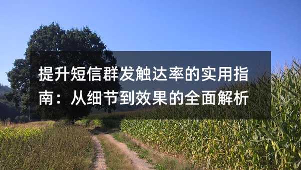 ȺʵʵָϣϸڵЧȫ