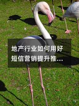 地产行业如何用好短信营销提升推广效果