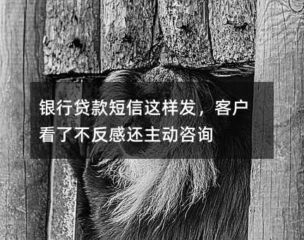 дͻ˲лѯ