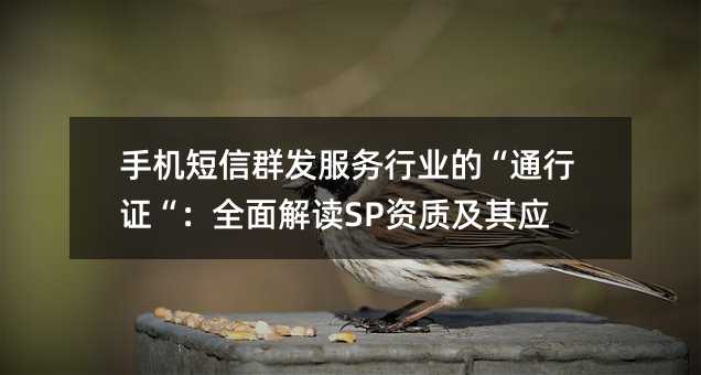 ֻȺҵġ֤ͨȫSPʼӦ