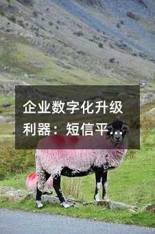 ҵֻƽ̨ЧӦָ