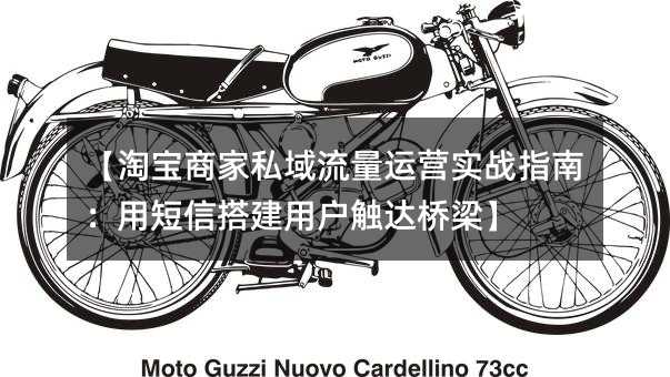 【淘宝商家私域流量运营实战指南:用短信搭建用户触达桥梁】
