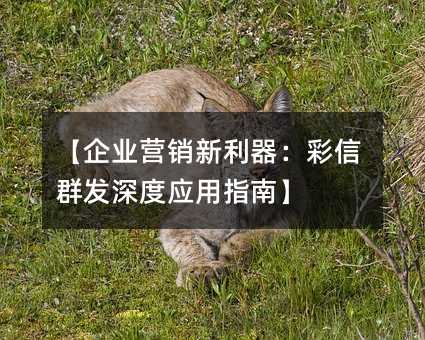 ҵӪȺӦָϡ