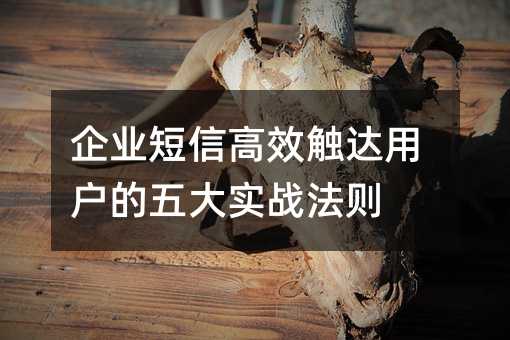 企业短信高效触达用户的五大实战法则