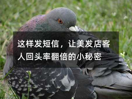 ţ˻ͷʷС