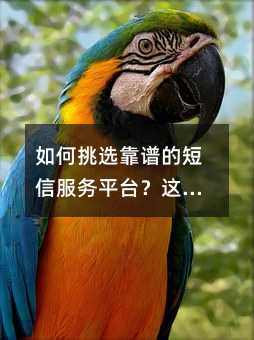 如何挑选靠谱的短信服务平台?这份避坑指南请收好