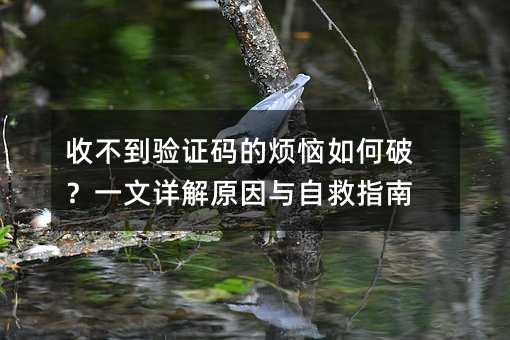 收不到验证码的烦恼如何破?一文详解原因与自救指南