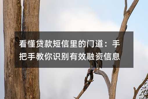看懂贷款短信里的门道:手把手教你识别有效融资信息