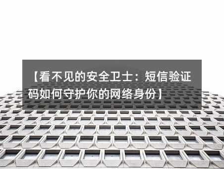【看不见的安全卫士:短信验证码如何守护你的网络身份】