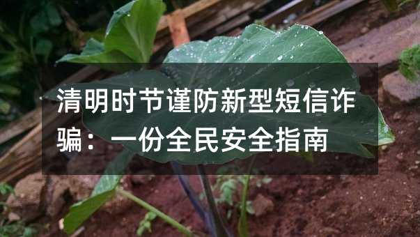 清明时节谨防新型短信诈骗:一份全民安全指南