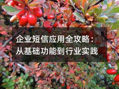 企业短信应用全攻略:从基础功能到行业实践