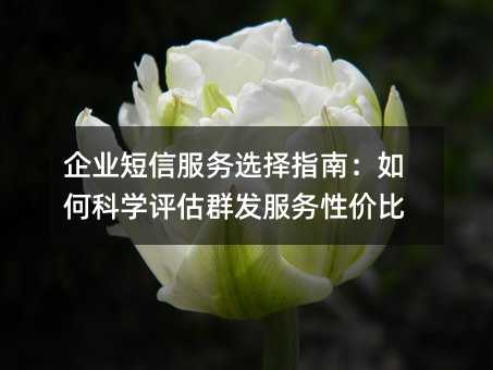 企业短信服务选择指南:如何科学评估群发服务性价比