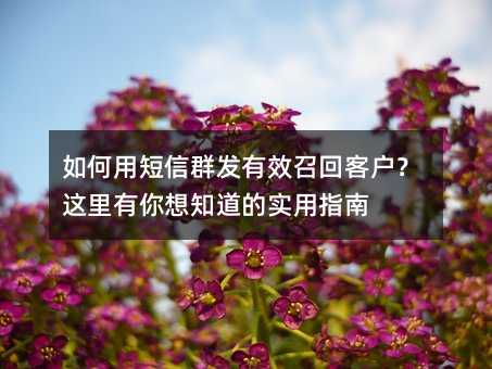 如何用短信群发有效召回客户?这里有你想知道的实用指南