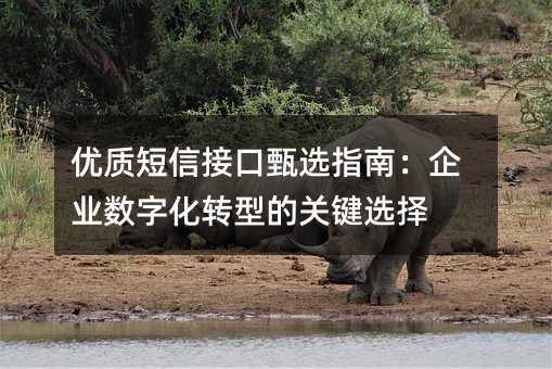 优质短信接口甄选指南:企业数字化转型的关键选择