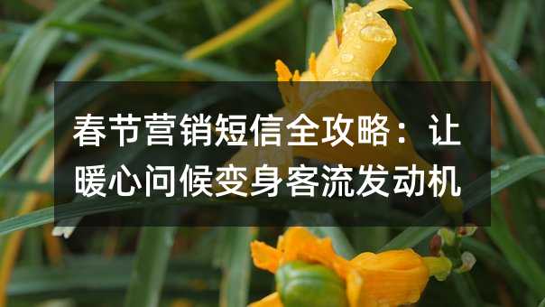 春节营销短信全攻略:让暖心问候变身客流发动机