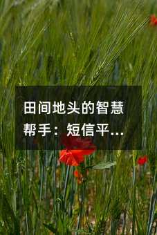 田间地头的智慧帮手:短信平台如何为农民打开信息之窗