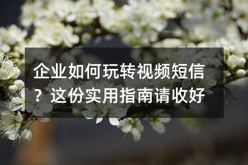 企业如何玩转视频短信?这份实用指南请收好