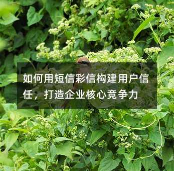 如何用短信彩信构建用户信任,打造企业核心竞争力