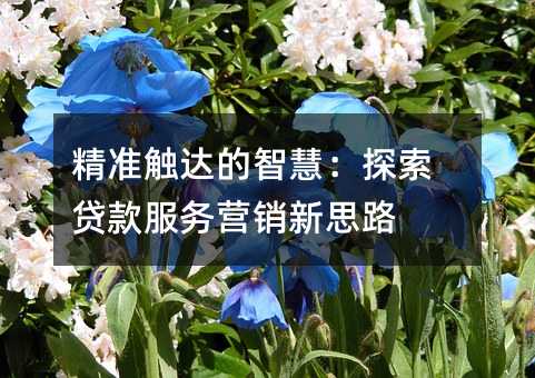 精准触达的智慧:探索贷款服务营销新思路