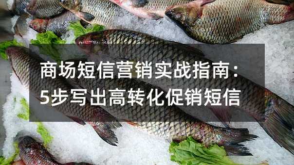 商场短信营销实战指南:5步写出高转化促销短信