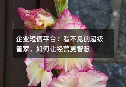 企业短信平台:看不见的超级管家,如何让经营更智慧