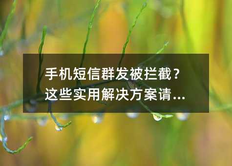 手机短信群发被拦截?这些实用解决方案请收好