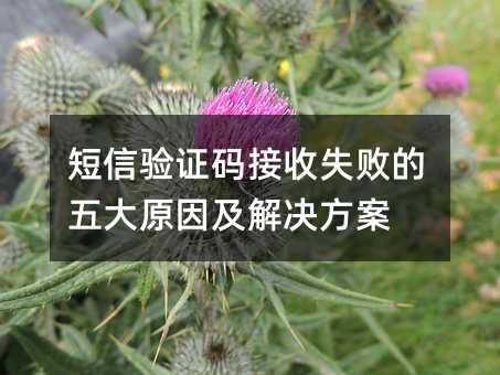 短信验证码接收失败的五大原因及解决方案