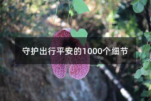 守护出行平安的1000个细节