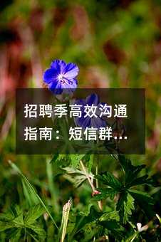 招聘季高效沟通指南:短信群发技巧助力HR减负提效