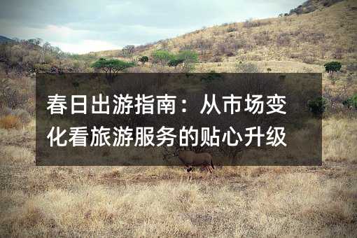 春日出游指南:从市场变化看旅游服务的贴心升级