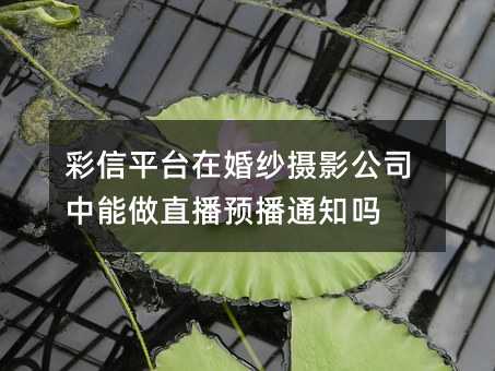 ƽ̨ڻɴӰ˾ֱԤ֪ͨ