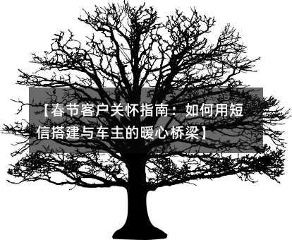 【春节客户关怀指南:如何用短信搭建与车主的暖心桥梁】