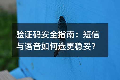 验证码安全指南:短信与语音如何选更稳妥?