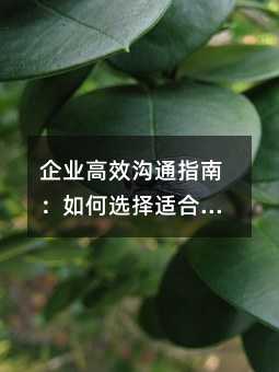 企业高效沟通指南:如何选择适合自己的群发工具